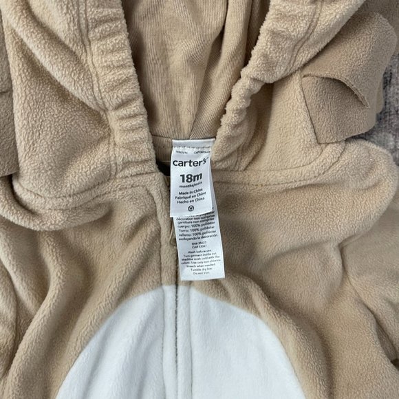 Carter's Lion Costume - Picture 3 of 3